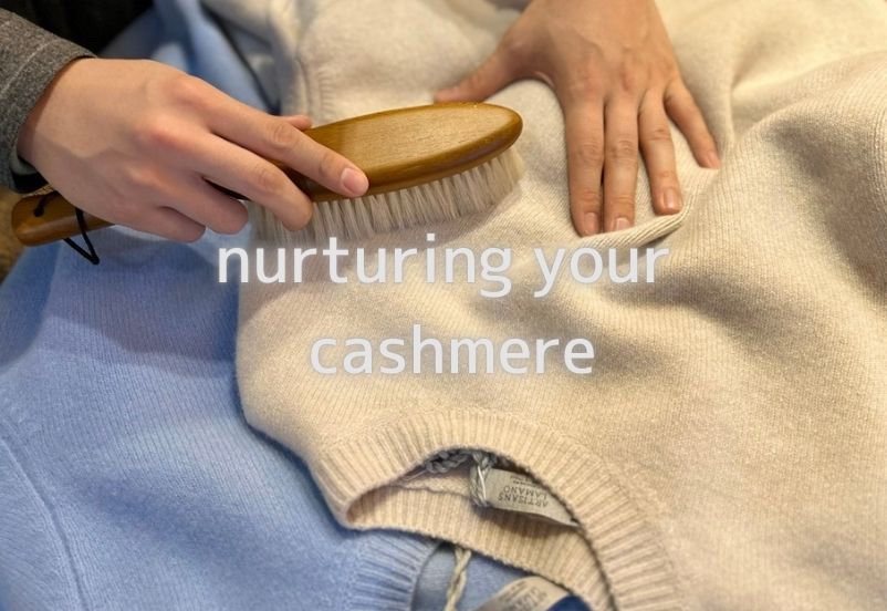 カシミヤニットブラシでお手入れlines