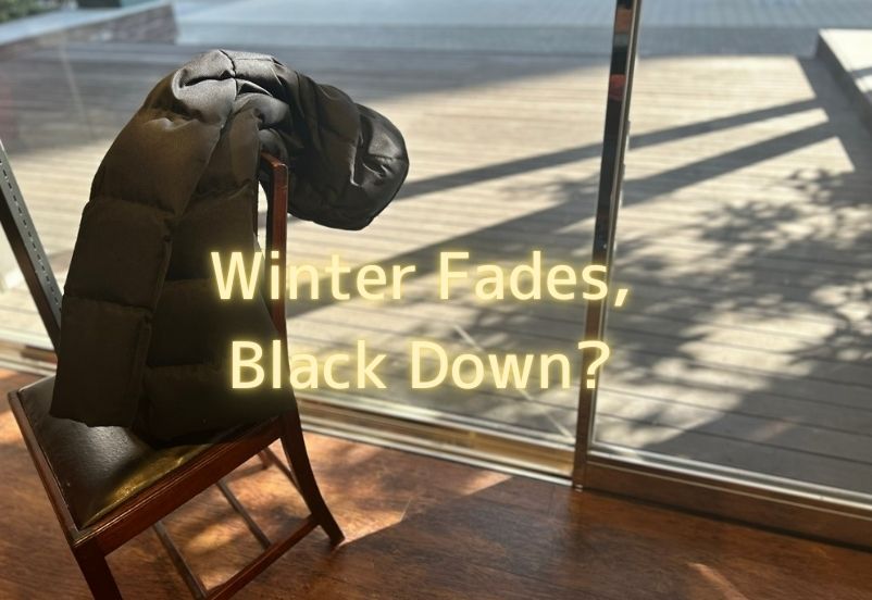 店内に差し込む春の光と黒ダウン。光の質が印象を左右することを示すビジュアル。